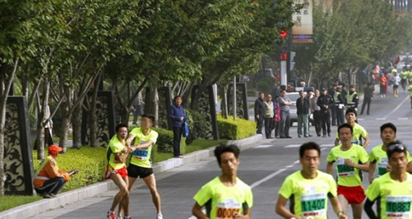 �ű�ǿ����������������Ź��