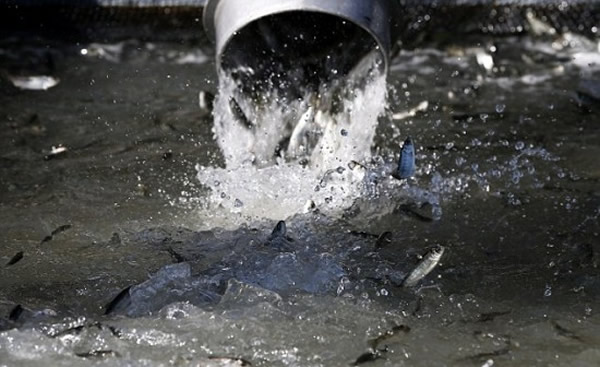 �������ݳ���3ǧ�����������类�͵�����