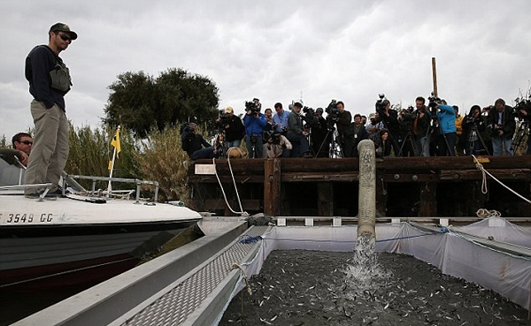 ��������������Ǭ�������ֻ������Ϊ��ʽ���㡣