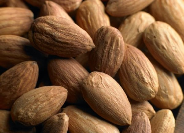 ����6�ݱ���֤ʵ�������潡��