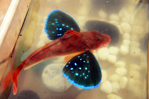 ̨����������������캣������������ڽ���