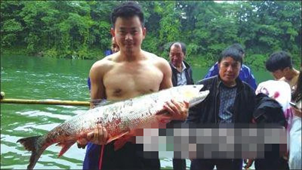 贵州龙舟赛队员划船热身一船桨拍晕40斤大鲢鱼