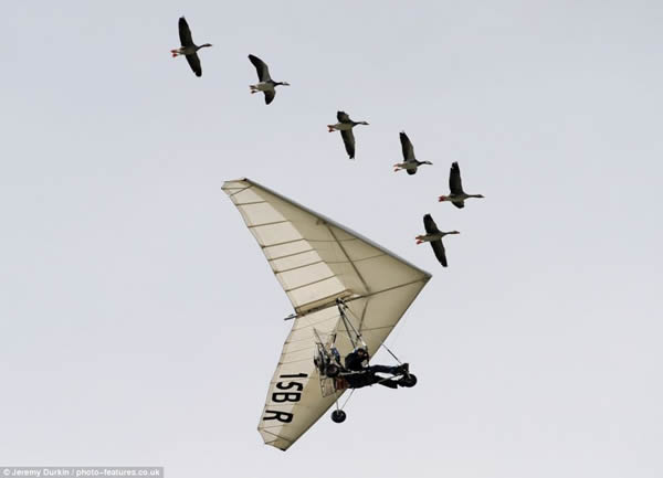 Christian Moullec)也是这类「鸟人」(Birdman