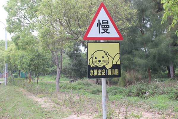 ̨������ظ�����ʾ�ƺ������ڱ���ˮ̡