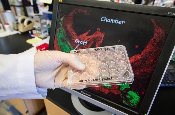 Ĭ��չʾ�������ļ���ϸ��