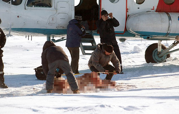 �������ⲻ�����Ӳ�ɱ��Ƥ