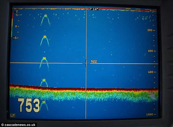 一艘游艇声纳装置在尼斯湖拍摄记录到“神秘水怪”