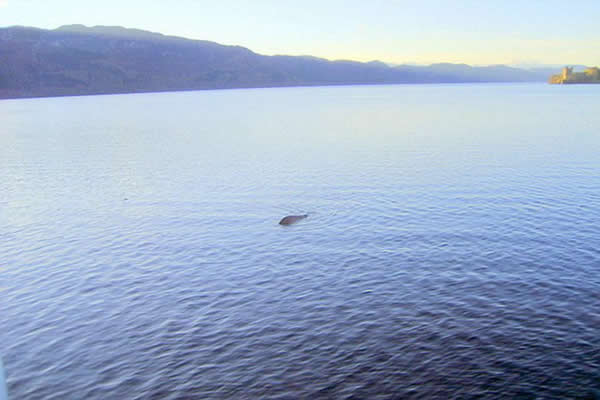 2013年10月，一位男子自称拍摄到“史上最佳尼斯湖水怪”的照片，但之后他声称这仅是一个恶作剧而已，照片中水怪的鳍仅是一个玻璃纤维块制成的。