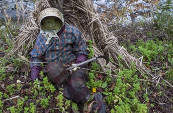 原东祖谷山村中满是稻草人