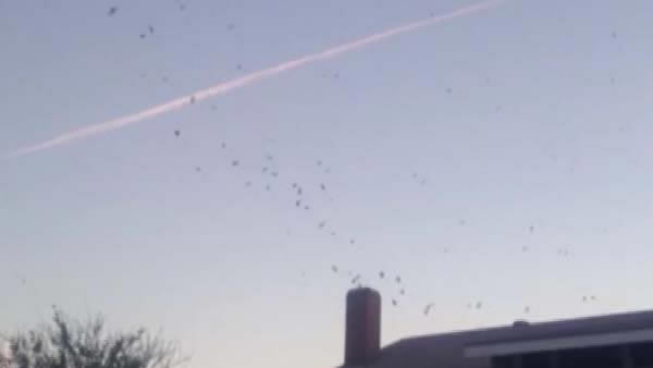 ��ֻ��ɫȸ��Ӳ��ʼҵ��̴ѷ���