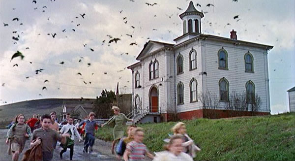 �������ݼ��е����Ǻ�ɫȸ����龰�����羪����Ӱ����(ͼ)����ڡ�