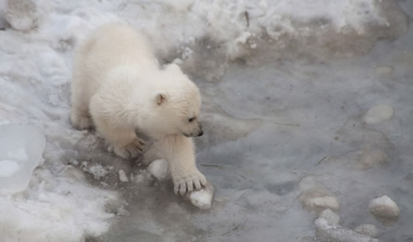 С�����ܹ��������״���ˮ