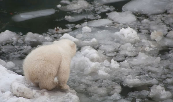 С�����ܹ��������״���ˮ