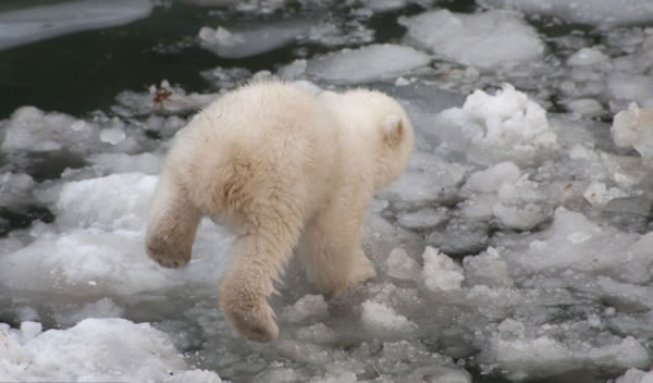 С�����ܹ��������״���ˮ