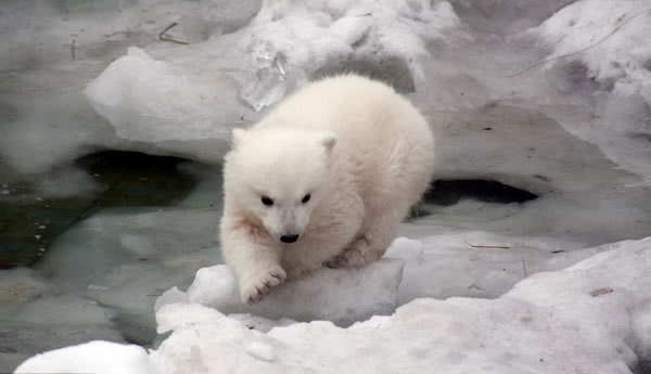 С�����ܹ��������״���ˮ