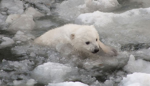 С�����ܹ��������״���ˮ