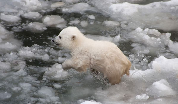 С�����ܹ��������״���ˮ