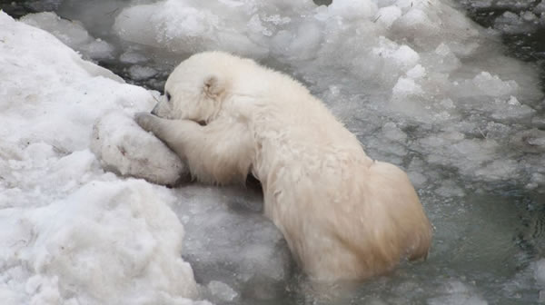 С�����ܹ��������״���ˮ