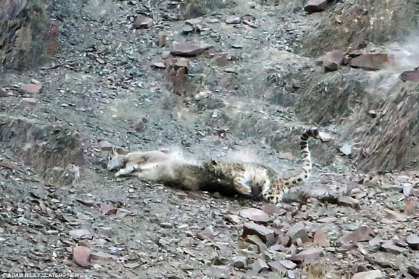 ׷ĳʯУֻꤵĴèƶ׷