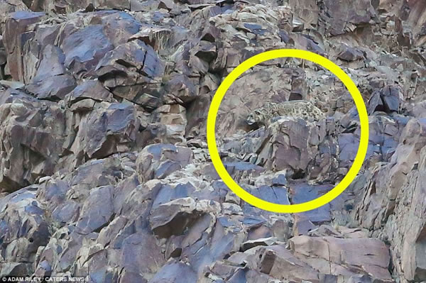 Ƭչʾֻαװʯеĸ߳졣