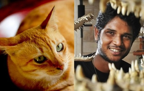 埃斯瓦兰(右) 被指杀猫制标本