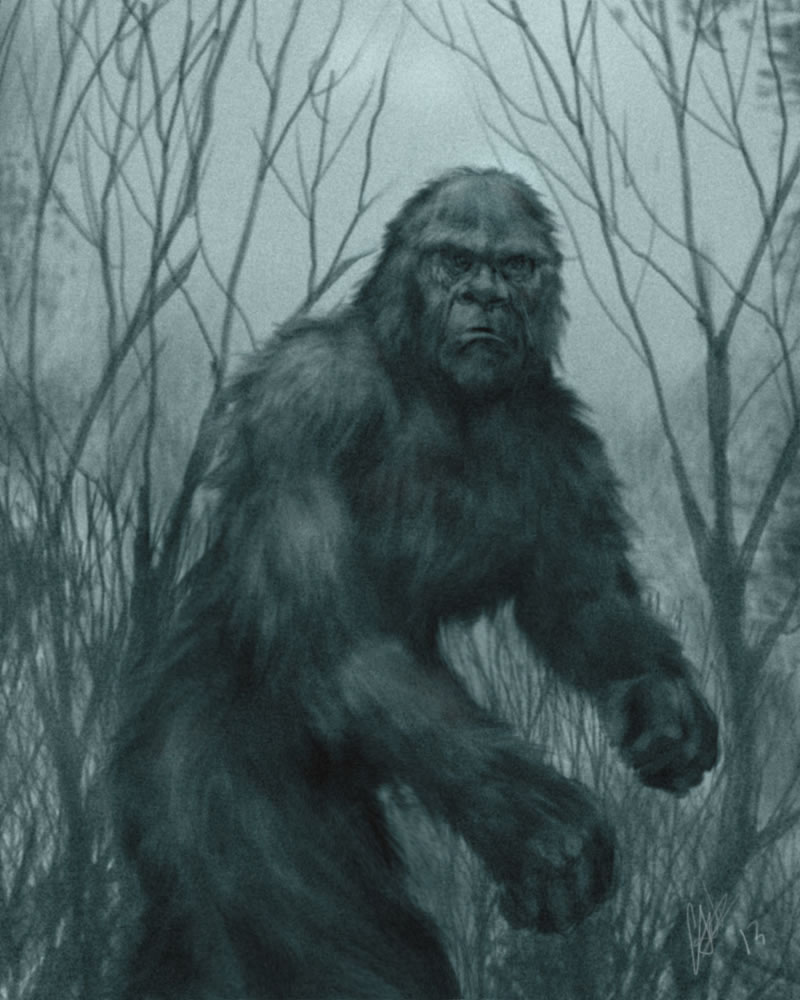 Ź֡ɳ˹֧(Bigfoot)
