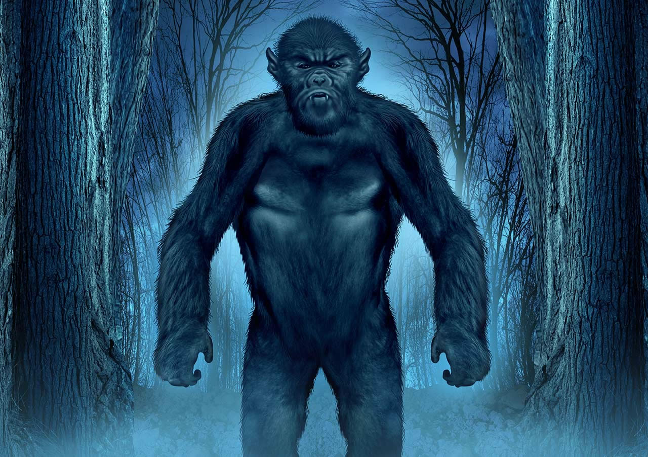 Ź֡ɳ˹֧(Bigfoot)