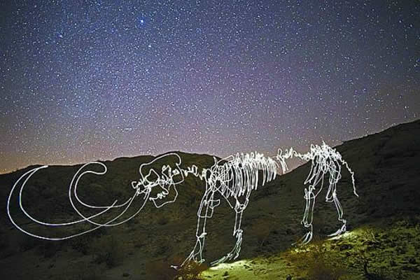 赵闯:从恐龙爱好者到科学艺术家