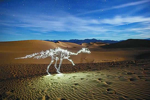 赵闯:从恐龙爱好者到科学艺术家