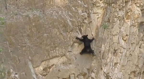 �������ݴ��������ҹ�԰�¸Һ���ĸ��������