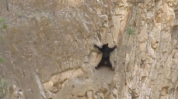 �������ݴ��������ҹ�԰�¸Һ���ĸ��������