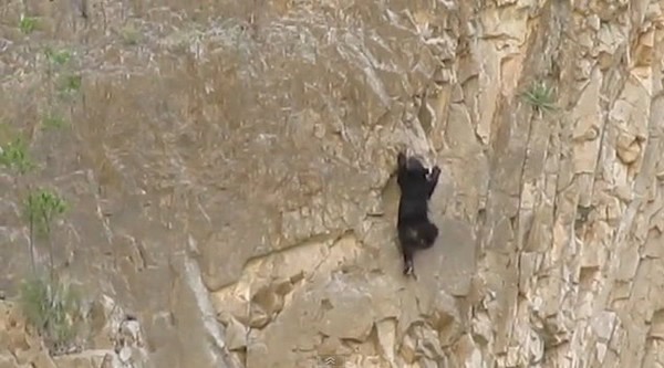 �������ݴ��������ҹ�԰�¸Һ���ĸ��������