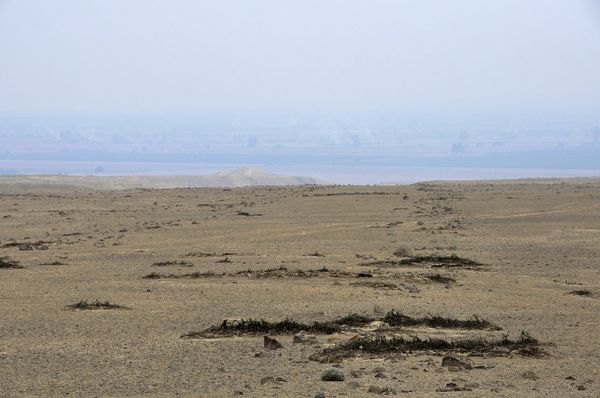 秘鲁发现比纳斯卡线条更早的地画