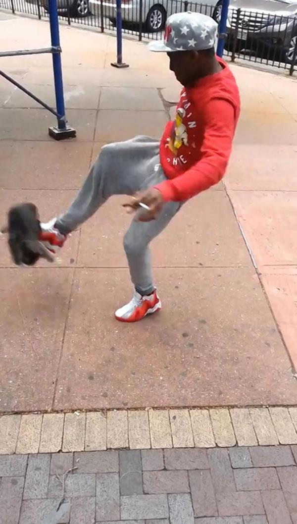 ������³�������Ӱ����ҡ��ޱ�ѷ�����Сè