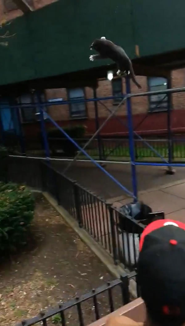 Сè���ߺ󣬾�ֱ�ɵ�3�׸߿ա�