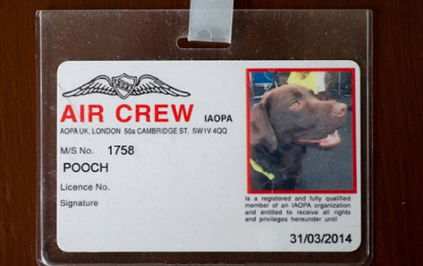 С�������ġ�������Ա����