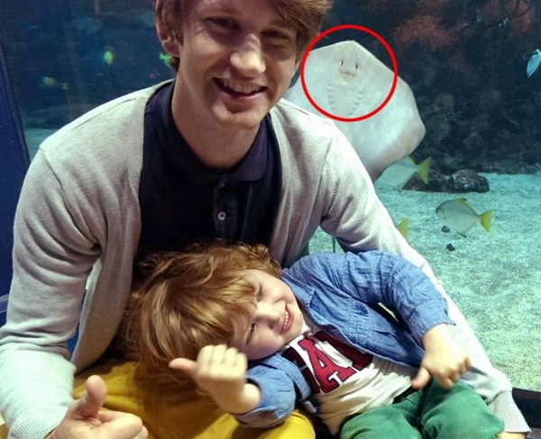 英国男子水族馆庆生 巧遇微笑魔鬼鱼