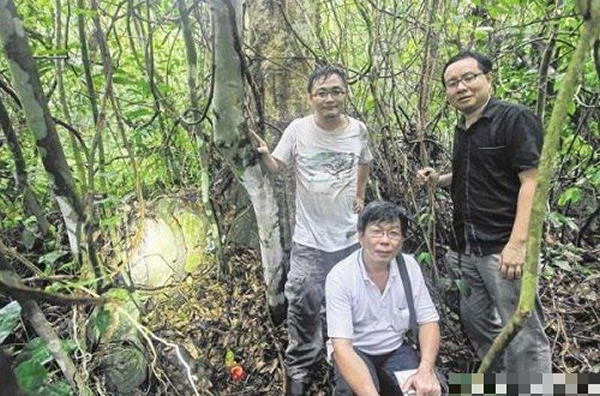 (左至右)吴安全、林志强、洪毅瀚确认古墓属于梁壬癸。