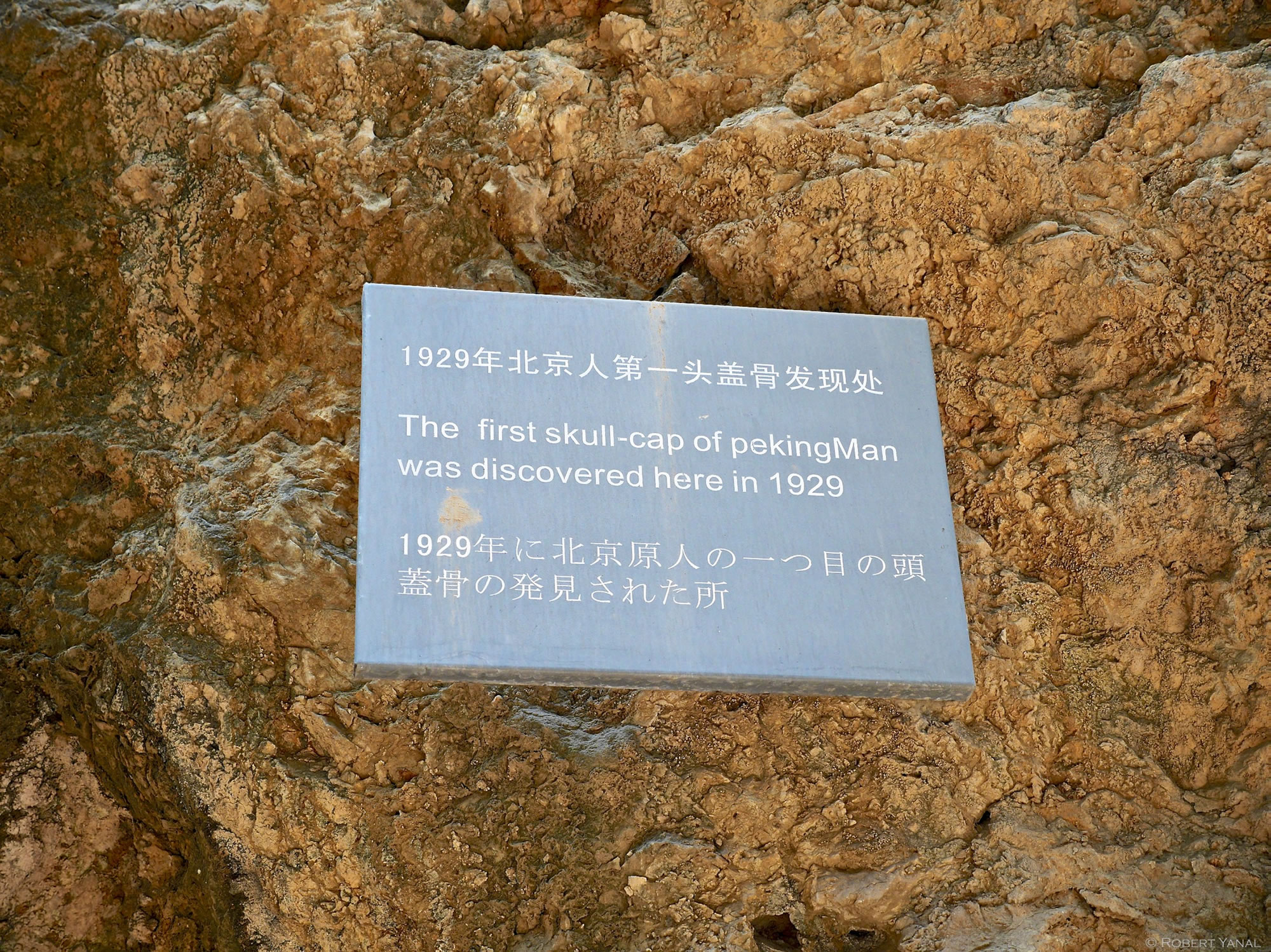 ����Գ��