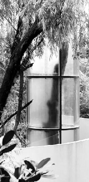 ��ľ�Ĳ׺�ɣ�� �ӡ�ֲ�ﻯʯ�������人��