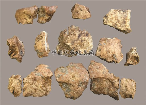 灵井许昌人遗址发现距今10万年“许昌人2号头骨”化石