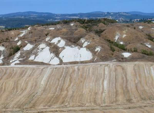 ��˹���ɱ��ϻ�ԭ