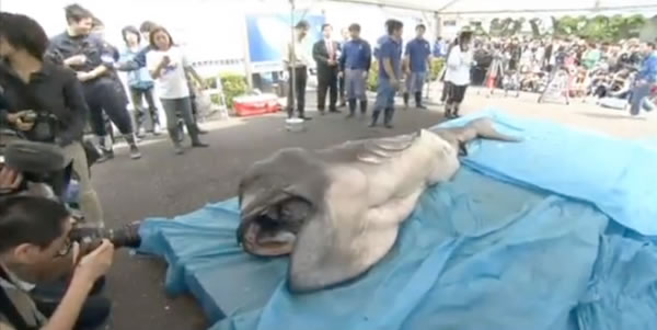 ձѧѧݹȫ58ͷġ޿衱