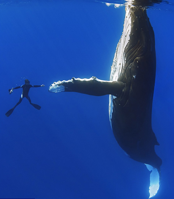 ����������ǱˮԱ����ͷ�������֡�