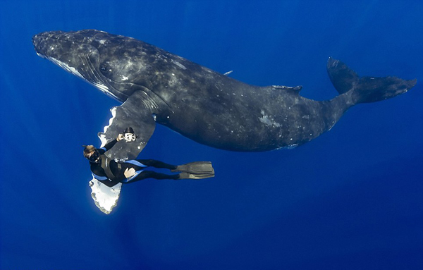 ����������ǱˮԱ����ͷ�������֡�