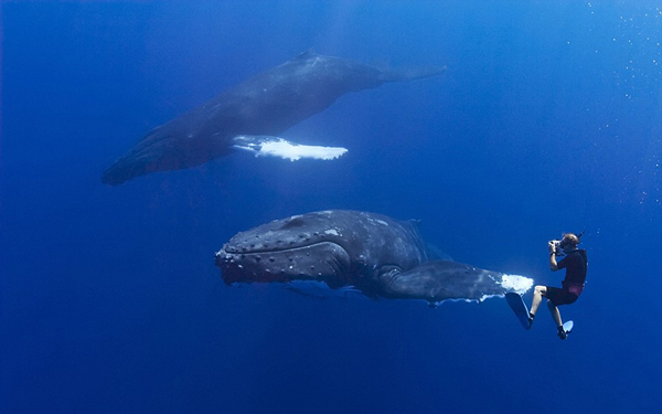 ����������ǱˮԱ����ͷ�������֡�