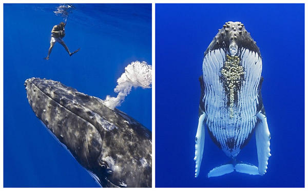 ����������ǱˮԱ����ͷ�������֡�