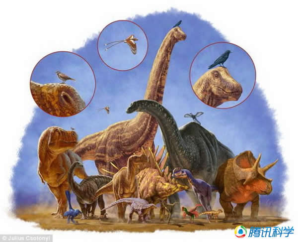在1.7亿年恐龙进化史中,形成了各种体型大小的恐龙物种,其中体型较小的恐龙物种具有成为鸟类的进化潜能。