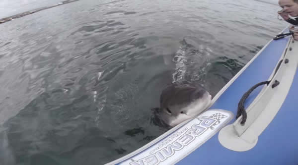 �����ͻȻ�����ſ���ҧ��Ƥͧ