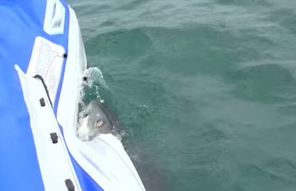 �ϷǴ������˺ҧ��Ӱ��������Ƥͧ